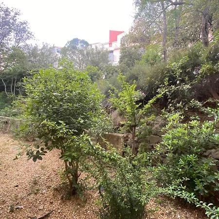 Apartment Cosy Centre Port Calme Avec Wifi