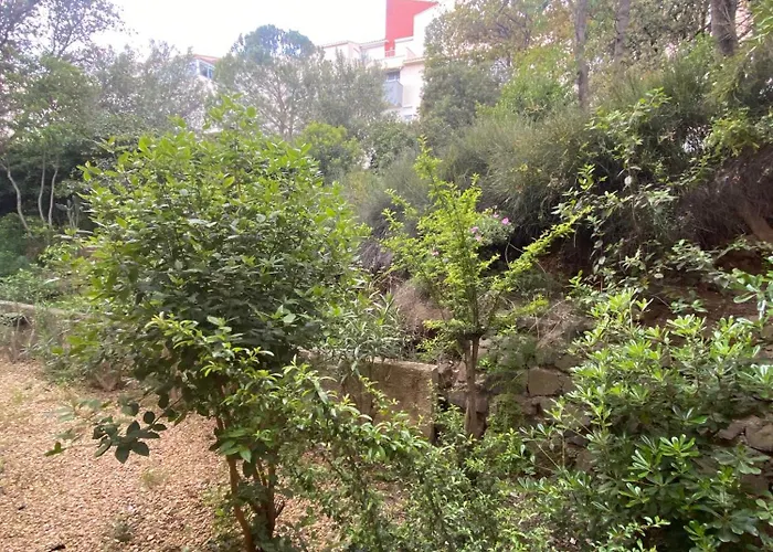 Apartment Cosy Centre Port Calme Avec Wifi